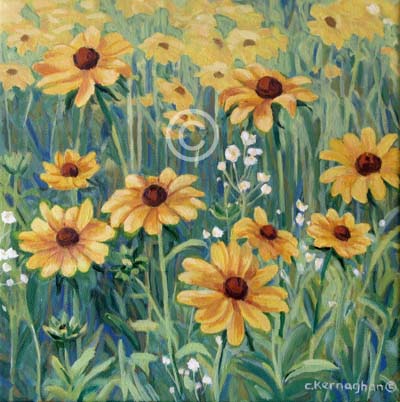 Blackeyed Susans