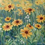 Blackeyed Susans