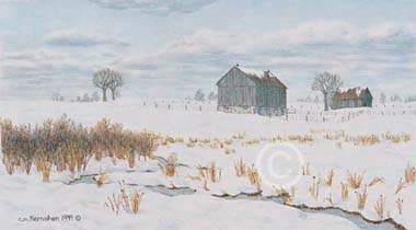 Winter Scene